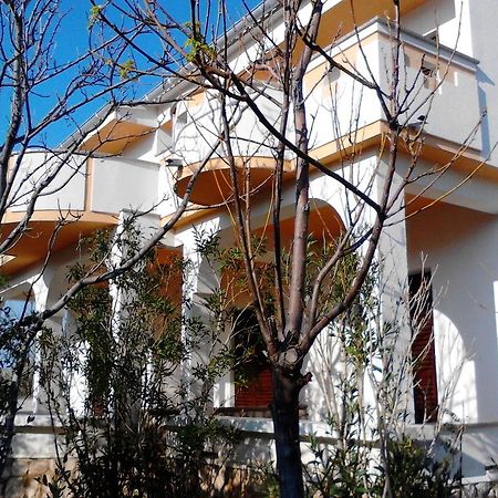 Apartments Kresimir Beauty With Shadow Trees And Parking Place Đảo Pag Ngoại thất bức ảnh