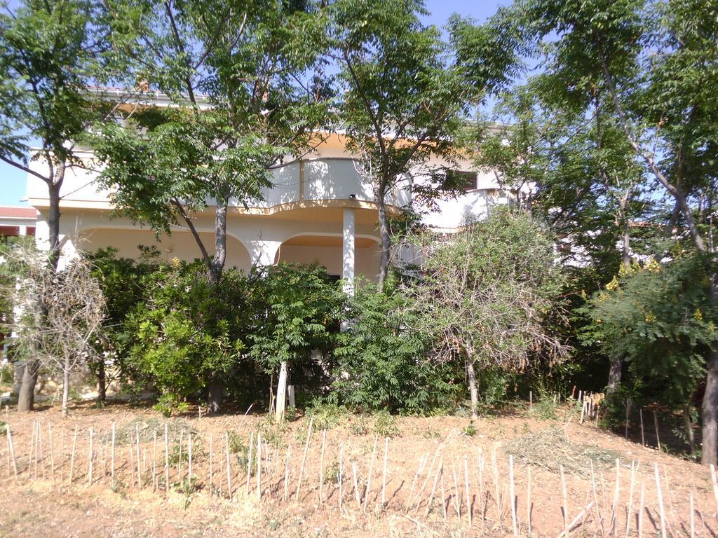 Apartments Kresimir Beauty With Shadow Trees And Parking Place Đảo Pag Ngoại thất bức ảnh
