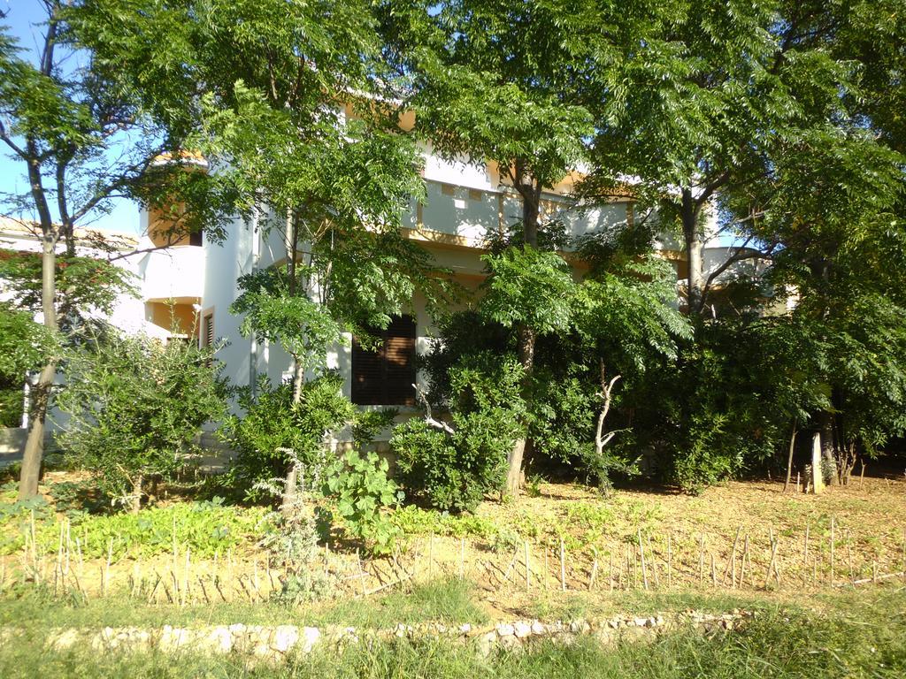 Apartments Kresimir Beauty With Shadow Trees And Parking Place Đảo Pag Phòng bức ảnh