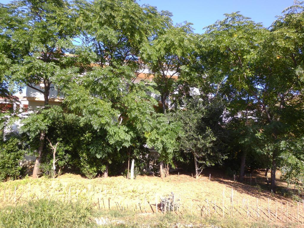 Apartments Kresimir Beauty With Shadow Trees And Parking Place Đảo Pag Ngoại thất bức ảnh