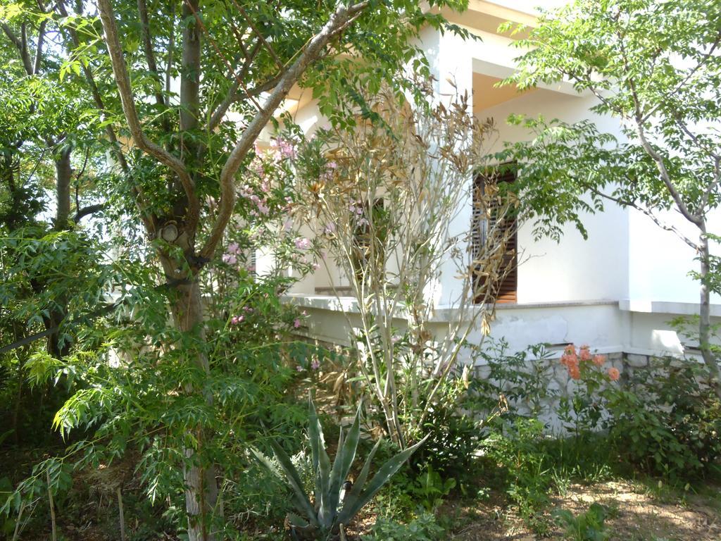 Apartments Kresimir Beauty With Shadow Trees And Parking Place Đảo Pag Phòng bức ảnh