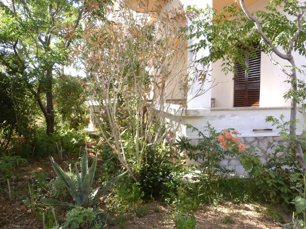Apartments Kresimir Beauty With Shadow Trees And Parking Place Đảo Pag Phòng bức ảnh