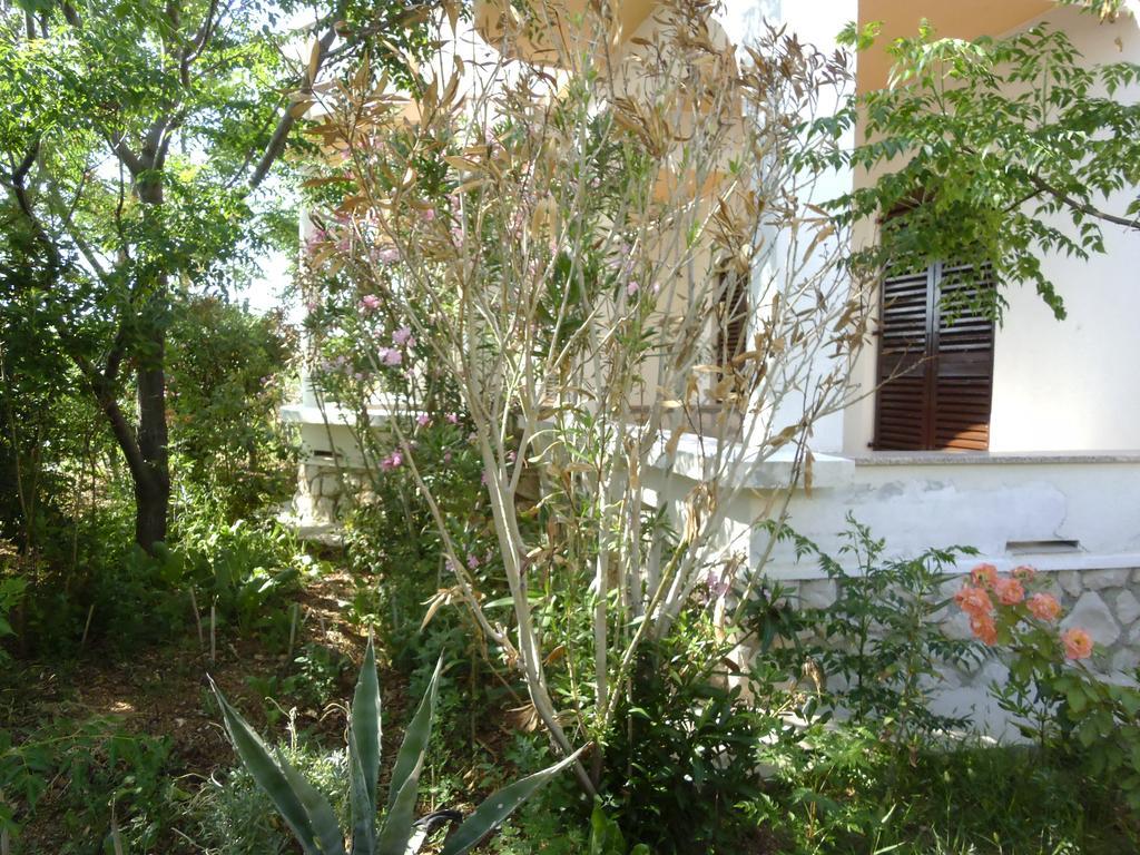 Apartments Kresimir Beauty With Shadow Trees And Parking Place Đảo Pag Phòng bức ảnh